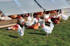 现代化规；；；；臣巴涝准庸は钅靠尚行匝芯勘ǜ