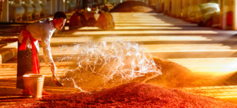 Z6·尊龙凯时「中国区」官方网站