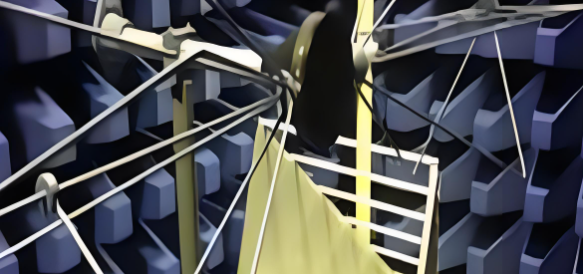 Z6·尊龙凯时「中国区」官方网站