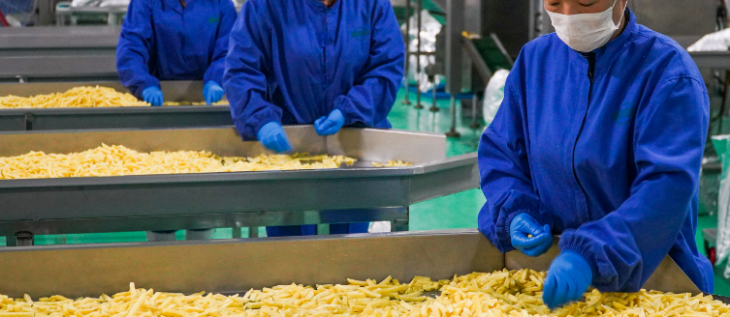 Z6·尊龙凯时「中国区」官方网站