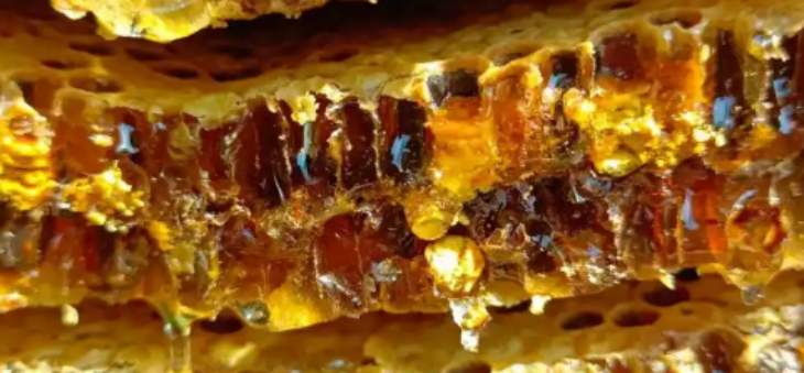 Z6·尊龙凯时「中国区」官方网站