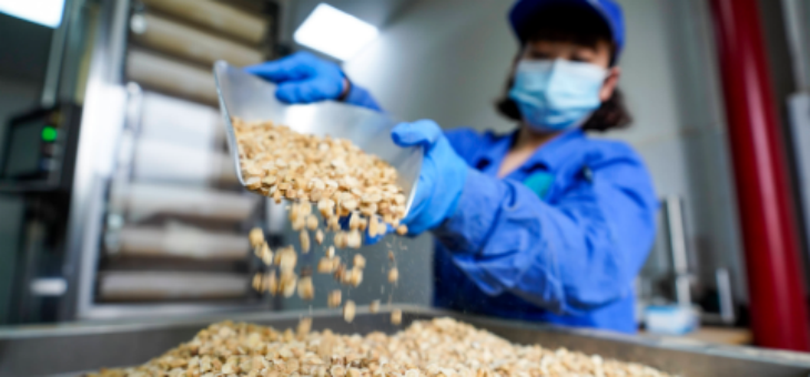 Z6·尊龙凯时「中国区」官方网站