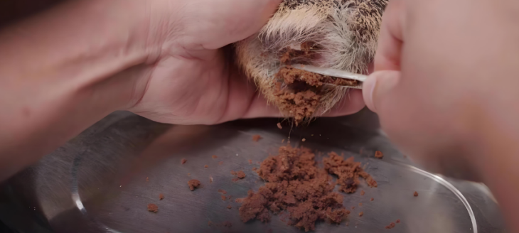 Z6·尊龙凯时「中国区」官方网站