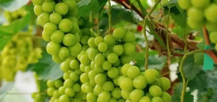 Z6·尊龙凯时「中国区」官方网站