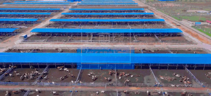 Z6·尊龙凯时「中国区」官方网站