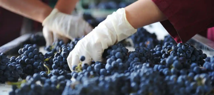 Z6·尊龙凯时「中国区」官方网站