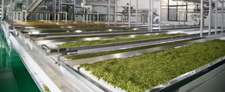 Z6·尊龙凯时「中国区」官方网站