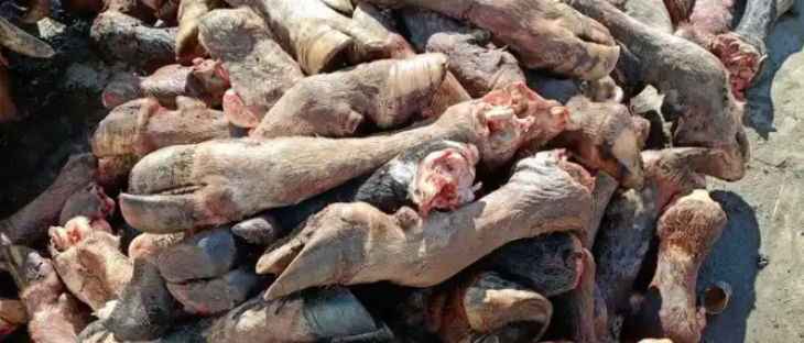 Z6·尊龙凯时「中国区」官方网站