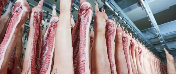 Z6·尊龙凯时「中国区」官方网站