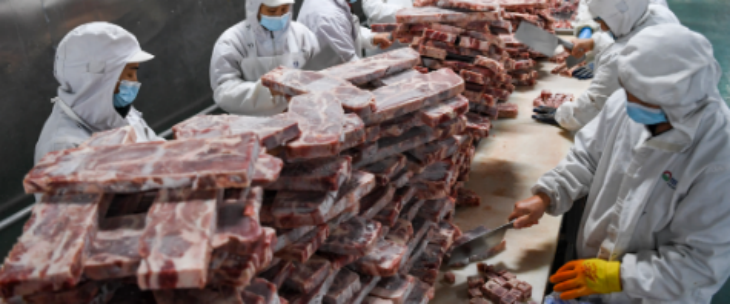 Z6·尊龙凯时「中国区」官方网站